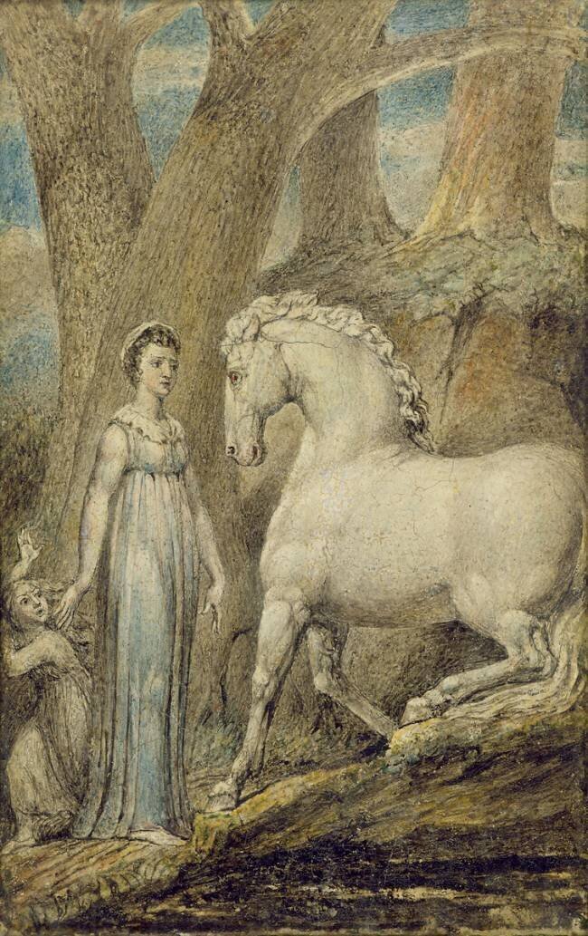 The Horse William Blake
