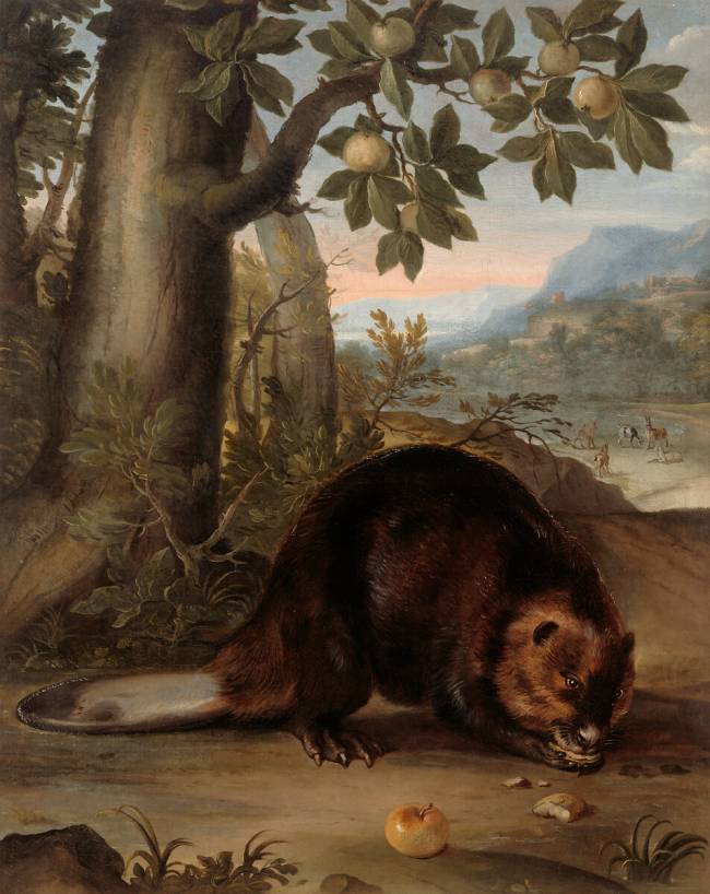 Un castor Nicasius Bernaerts