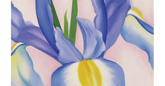 Lavender Iris, 1952 by Georgia O'Keeffe – Art print, wall art, posters ...