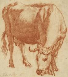 A cow grazing (Adriaen van de Velde) - Muzeo.com