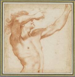 Apollon de profil (anonymous) - Muzeo.com