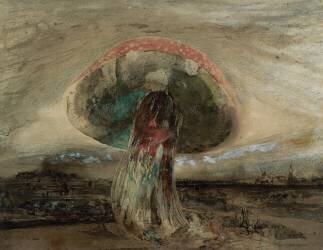 Champignon (Victor Hugo) - Muzeo.com