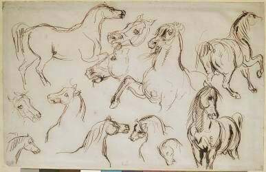 Etude de chevaux (Eugène Delacroix) - Muzeo.com