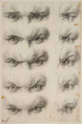 Etudes d'yeux humains (Charles Le Brun) - Muzeo.com