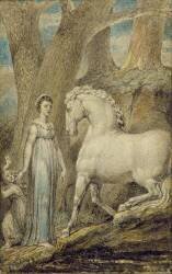 The Horse (William Blake) - Muzeo.com