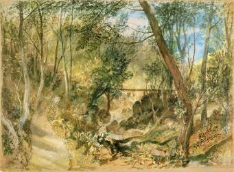 The Woodwalk (Joseph Mallord William Turner) - Muzeo.com