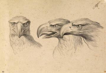 Trois têtes d'aigles (Charles Le Brun) - Muzeo.com