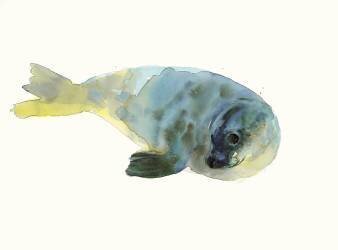 Aqua Green (Mark Adlington) - Muzeo.com