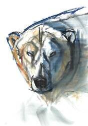 Arctic Icon (Mark Adlington) - Muzeo.com