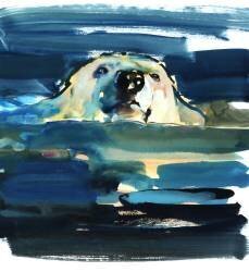 Arctic Swim (Mark Adlington) - Muzeo.com