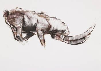 Challenge (Mark Adlington) - Muzeo.com