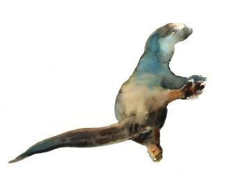 Cotman Otter (Mark Adlington) - Muzeo.com