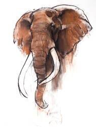 Craig (Mark Adlington) - Muzeo.com