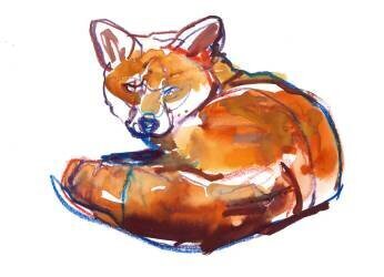 Curled (Mark Adlington) - Muzeo.com