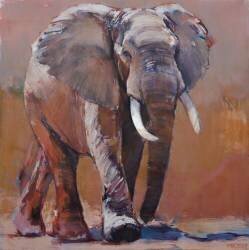 Dry Season (Mark Adlington) - Muzeo.com