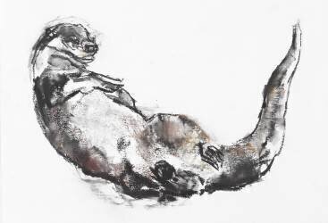 Drying Off (Mark Adlington) - Muzeo.com