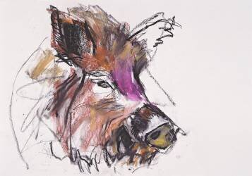 Dzik (Mark Adlington) - Muzeo.com