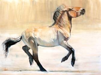 Equus (Mark Adlington) - Muzeo.com