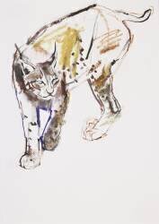 European Lynx (Mark Adlington) - Muzeo.com