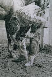 Farrier, Saratoga (Max Ferguson) - Muzeo.com