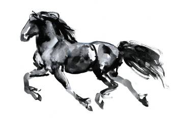 Flying Friesian (Mark Adlington) - Muzeo.com