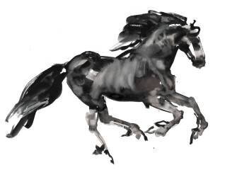 Gallop (Mark Adlington) - Muzeo.com