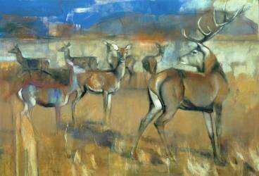 Gathering Deer (Mark Adlington) - Muzeo.com