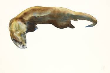 Gold (Mark Adlington) - Muzeo.com