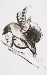 Grattarsi (Mark Adlington) - Muzeo.com