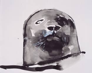 Harbour seal (Mark Adlington) - Muzeo.com