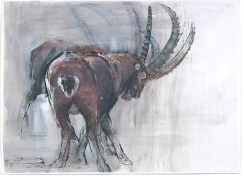 Headlock (Mark Adlington) - Muzeo.com