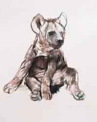 Hyaena Pup (Mark Adlington) - Muzeo.com