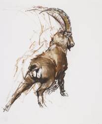 Leg Stretch (Mark Adlington) - Muzeo.com