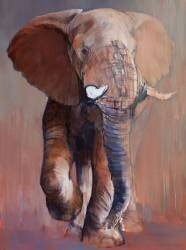 Loisaba Bull (Mark Adlington) - Muzeo.com