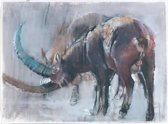 Minus Twenty (Mark Adlington) - Muzeo.com