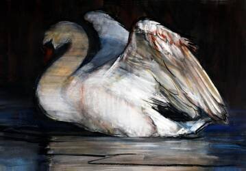 Night Swan (Mark Adlington) - Muzeo.com