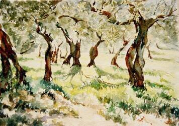 Old olives (Wilson Clive) - Muzeo.com