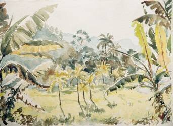 Paddy fields (Wilson Clive) - Muzeo.com