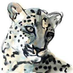 Persian (Mark Adlington) - Muzeo.com