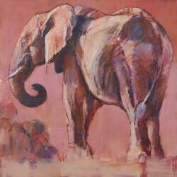 Pink (Mark Adlington) - Muzeo.com