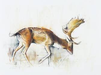 Pisanello Buck (Mark Adlington) - Muzeo.com