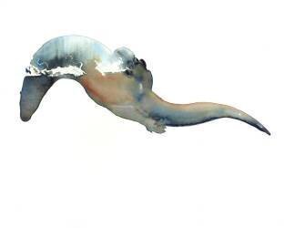 River Wave (Mark Adlington) - Muzeo.com