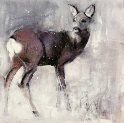 Roe Doe (Mark Adlington) - Muzeo.com