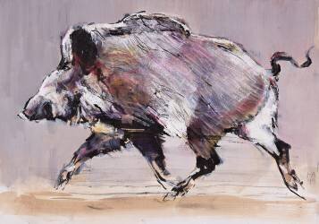 Running boar (Mark Adlington) - Muzeo.com