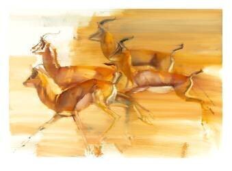 Running Gazelles (Mark Adlington) - Muzeo.com