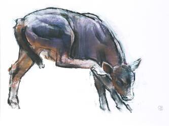 Scratching Calf (Mark Adlington) - Muzeo.com