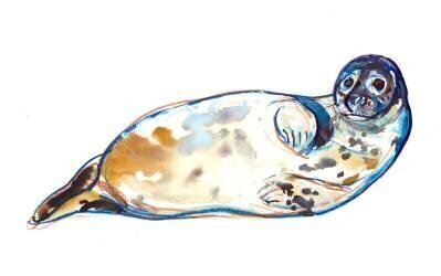 Senseal (Mark Adlington) - Muzeo.com