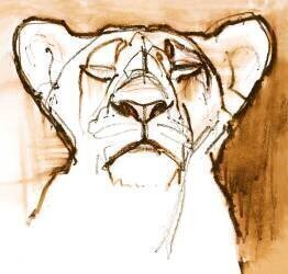 Sepia Cub (Mark Adlington) - Muzeo.com