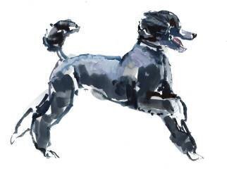 Sheer Class (Mark Adlington) - Muzeo.com