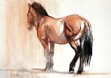 Stand (Mark Adlington) - Muzeo.com